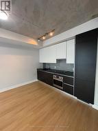 204 - 38 STEWART STREET Toronto, ON M5V 0H1