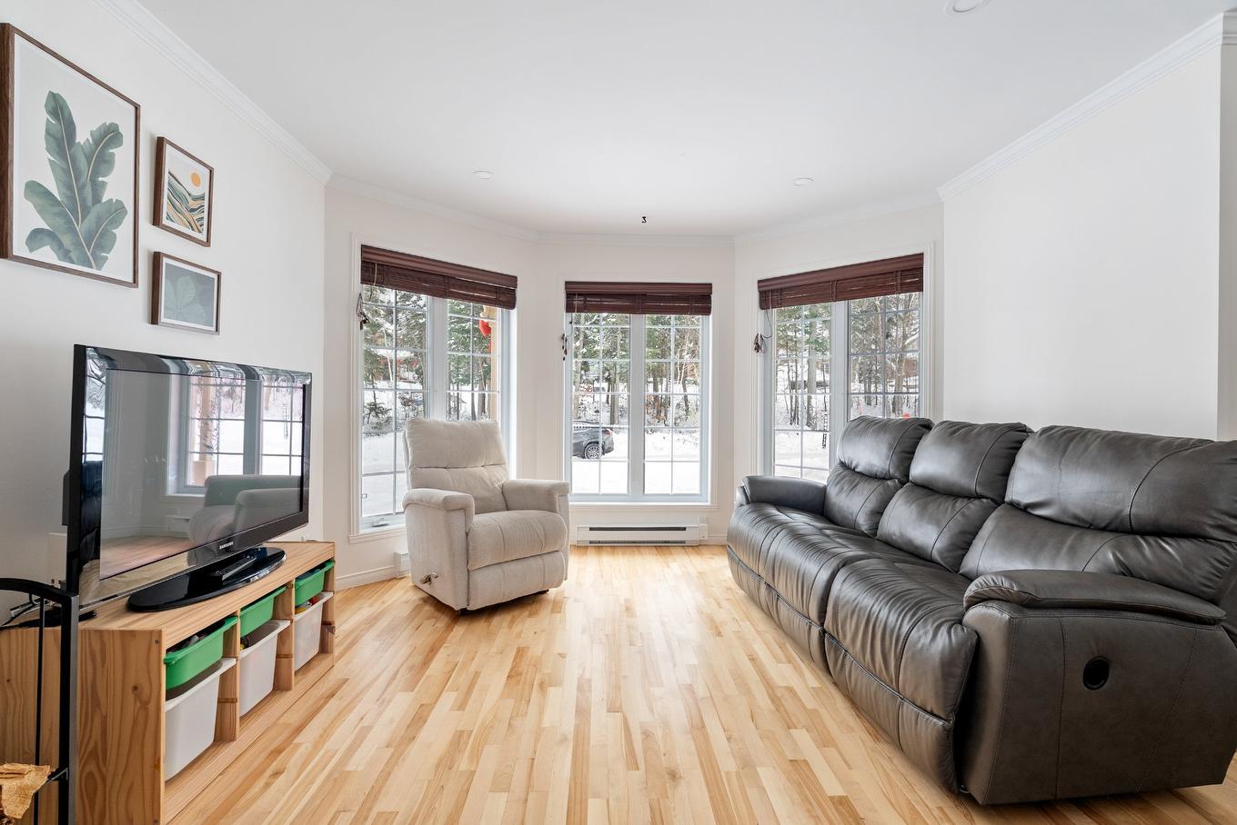 Salon - 1210 Rue Du Geyser, Québec (La Haute-Saint-Charles), QC - Indoor Photo Showing Living Room