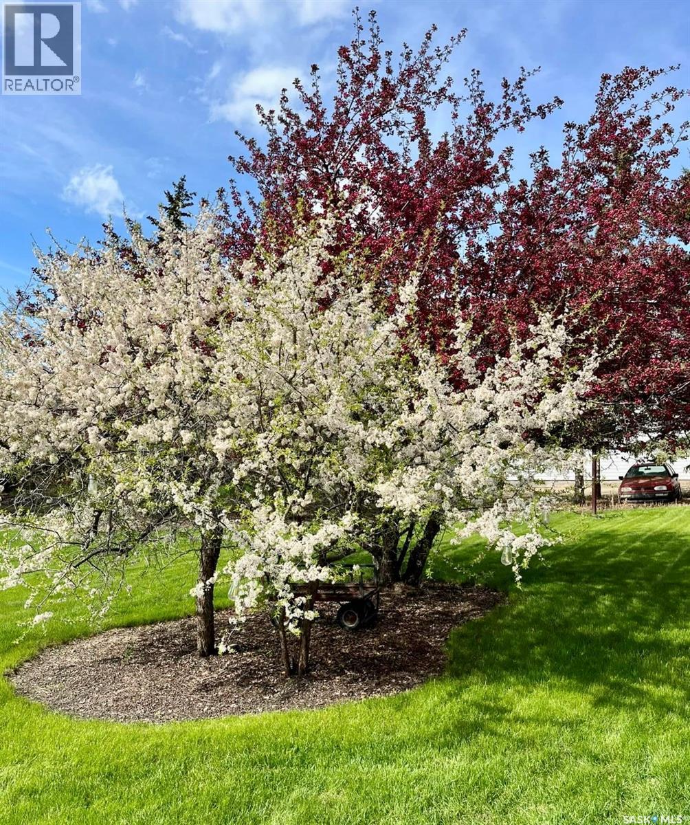 20 4Th Avenue E, Neilburg, SK - Outdoor