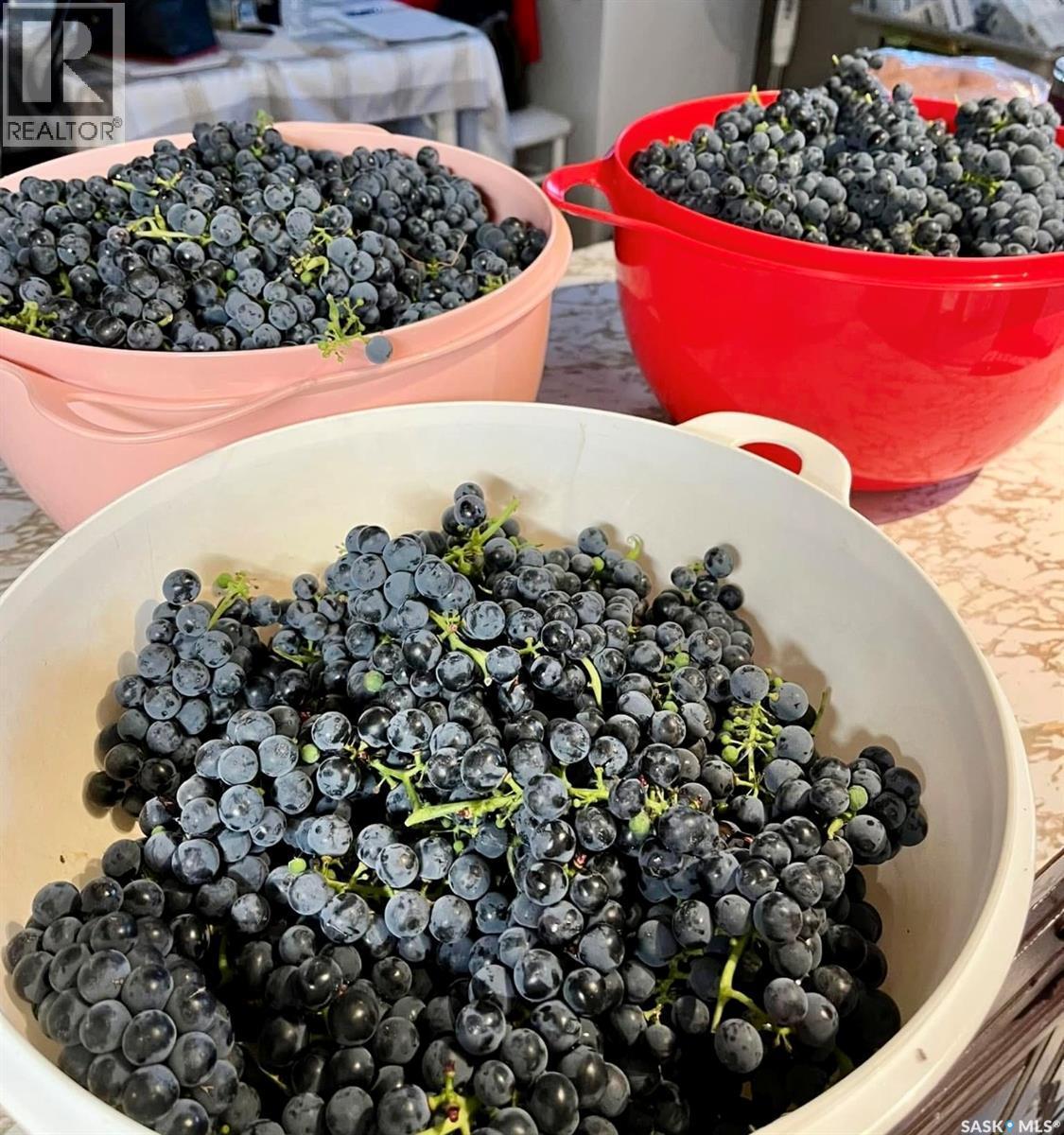 20 4Th Avenue E, Neilburg, SK - Photo Showing Other Room