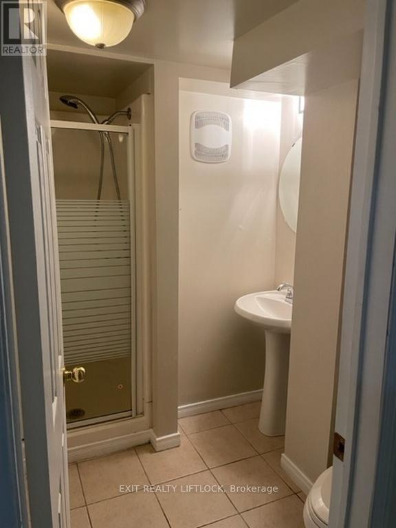 Lower - 1437 Westbrook Drive, Peterborough (Monaghan Ward 2), ON - Indoor Photo Showing Bathroom