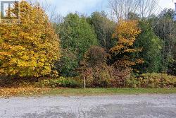 LT 17 PL 594 COURTNEY COURT S Ashfield-Colborne-Wawanosh (Ashfield), ON N2Z 2X3