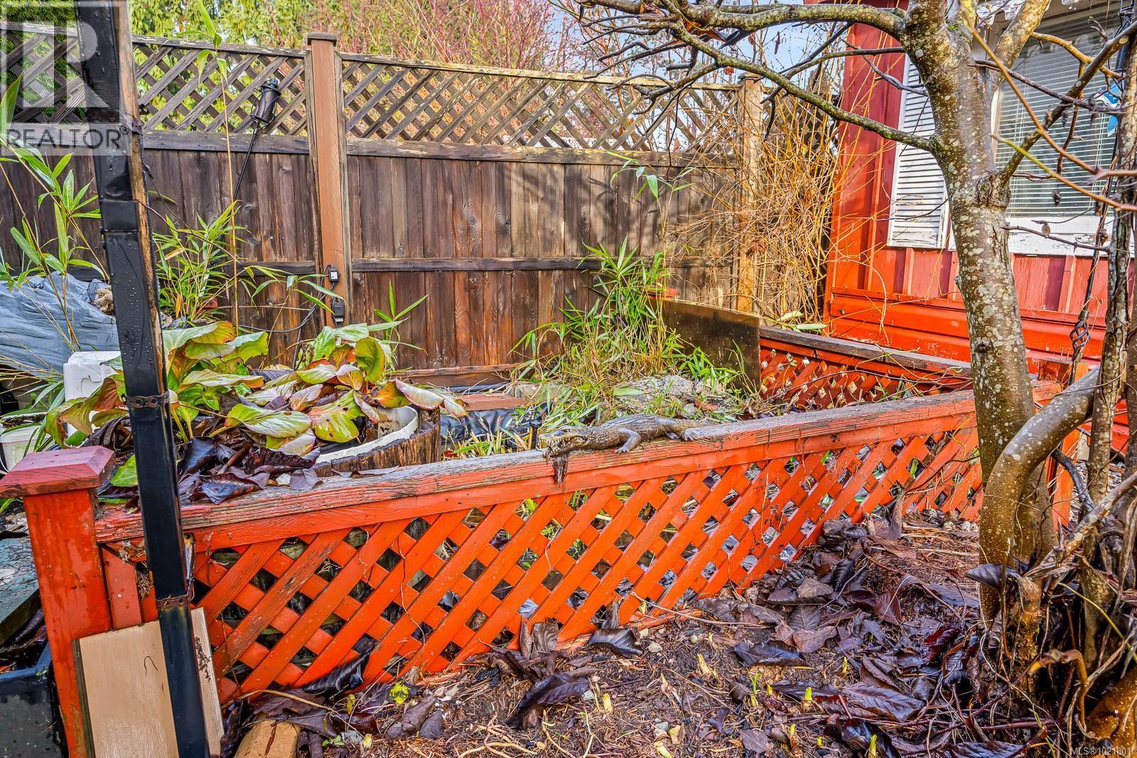 2316B Willemar Ave, Courtenay, BC - Outdoor