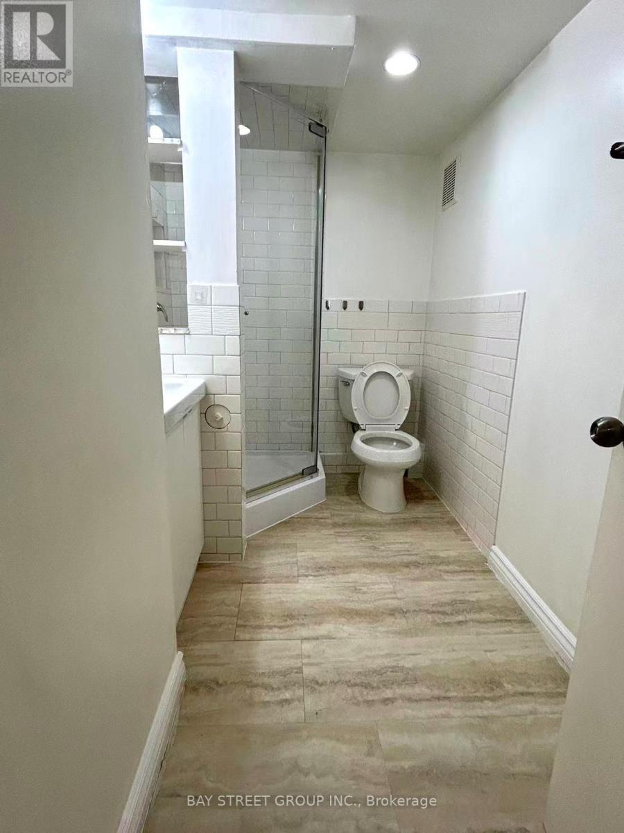 Basement - 368 Browndale Crescent, Richmond Hill, ON - Indoor Photo Showing Bathroom