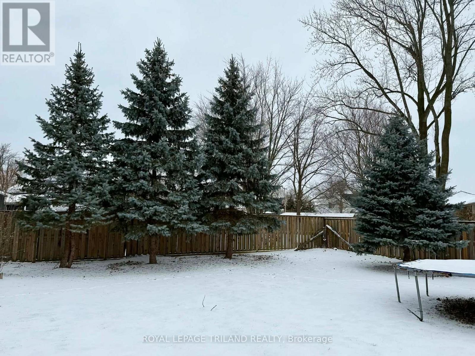 102 Ontario Street, Lambton Shores (Thedford), ON - Outdoor With Backyard