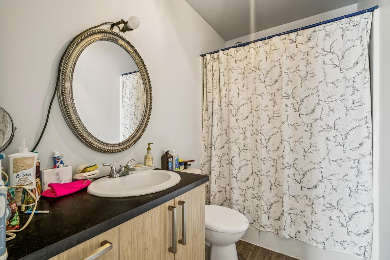 Bathroom - 16 - 16A Rue Lavigne, Brownsburg-Chatham, QC - Indoor Photo Showing Bathroom