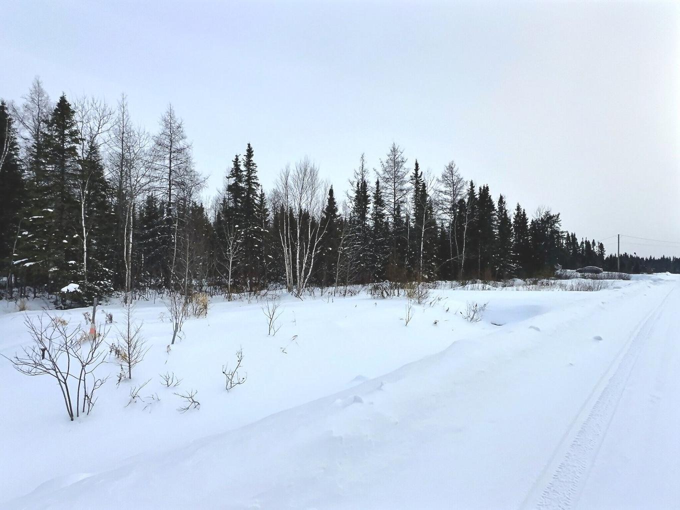 Land/Lot - 113 Rue Trudel, Val-D'Or, QC