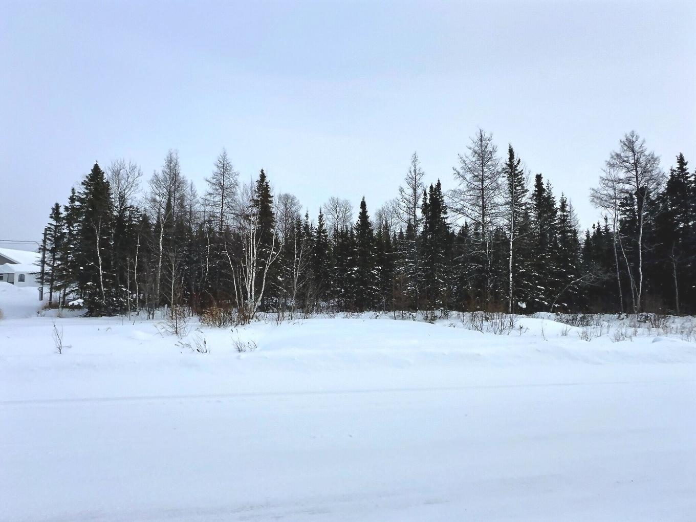 Land/Lot - 113 Rue Trudel, Val-D'Or, QC