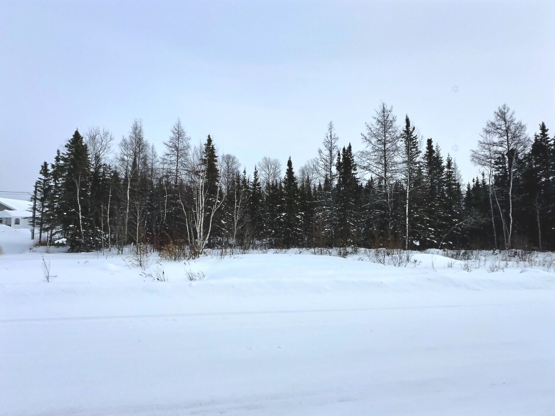 Terre/Terrain - 113 Rue Trudel, Val-D'Or, QC