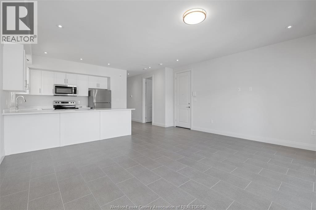 233 Watson Unit# 306, Windsor, ON - Indoor Photo Showing Kitchen