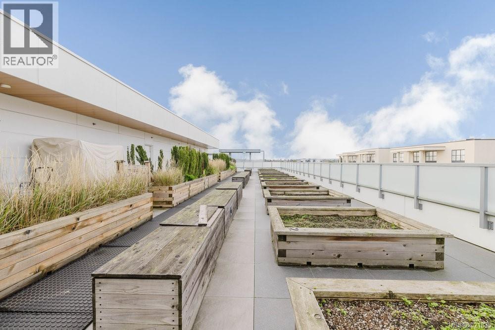 View of home's community featuring a vegetable garden - 210 881 Short St, Saanich, BC - Outdoor