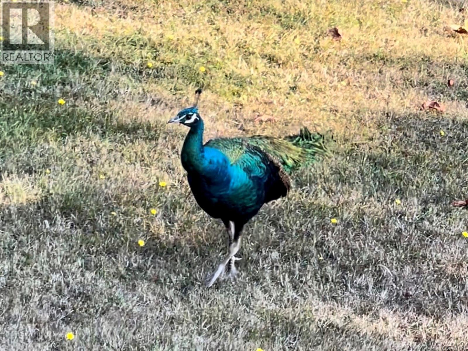 1324 Greenleaf Lane, Sidney Island, BC