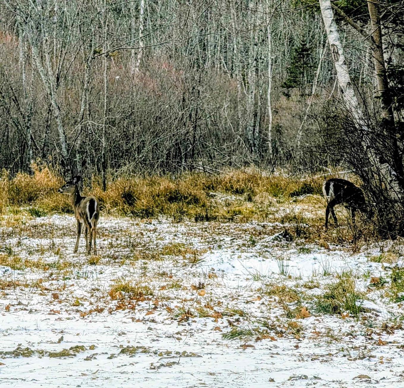 165 St. Phillips Street, Bridgewater, NS