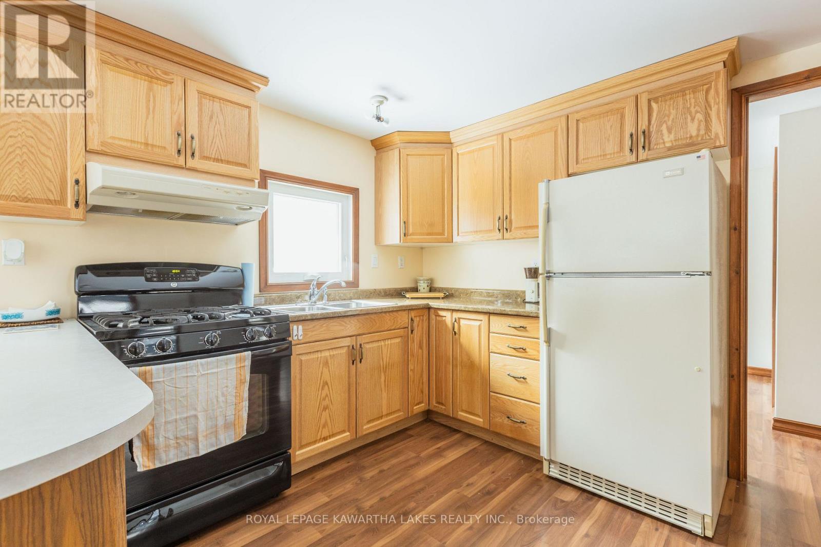 38 Fell Station Drive, Kawartha Lakes (Fenelon Falls), ON - Indoor Photo Showing Kitchen With Double Sink