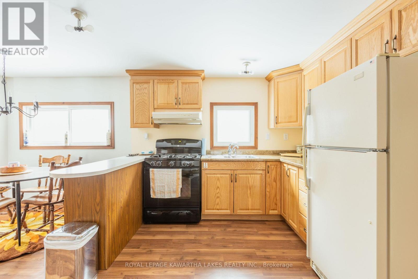 38 Fell Station Drive, Kawartha Lakes (Fenelon Falls), ON - Indoor Photo Showing Kitchen With Double Sink