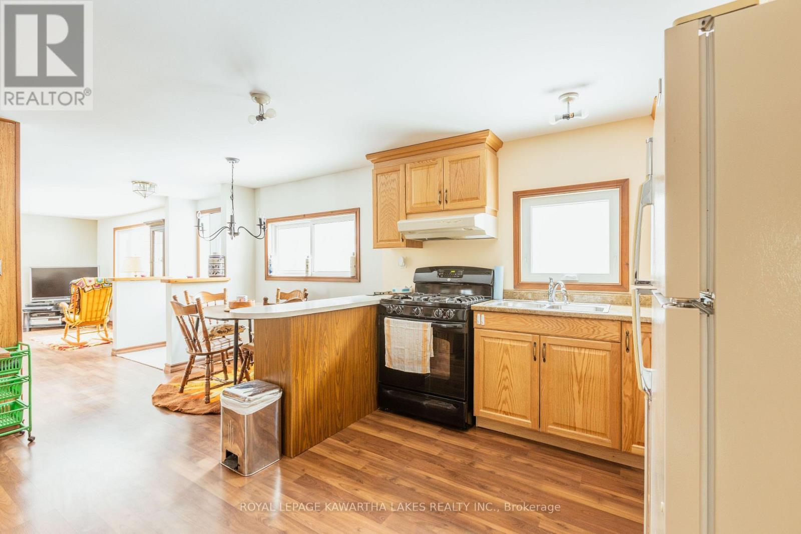 38 Fell Station Drive, Kawartha Lakes (Fenelon Falls), ON - Indoor Photo Showing Kitchen With Double Sink