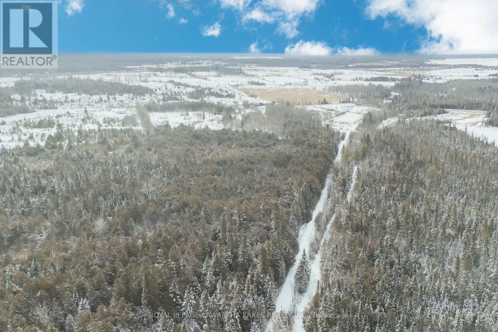 38 Fell Station Drive, Kawartha Lakes (Fenelon Falls), ON - Outdoor With View