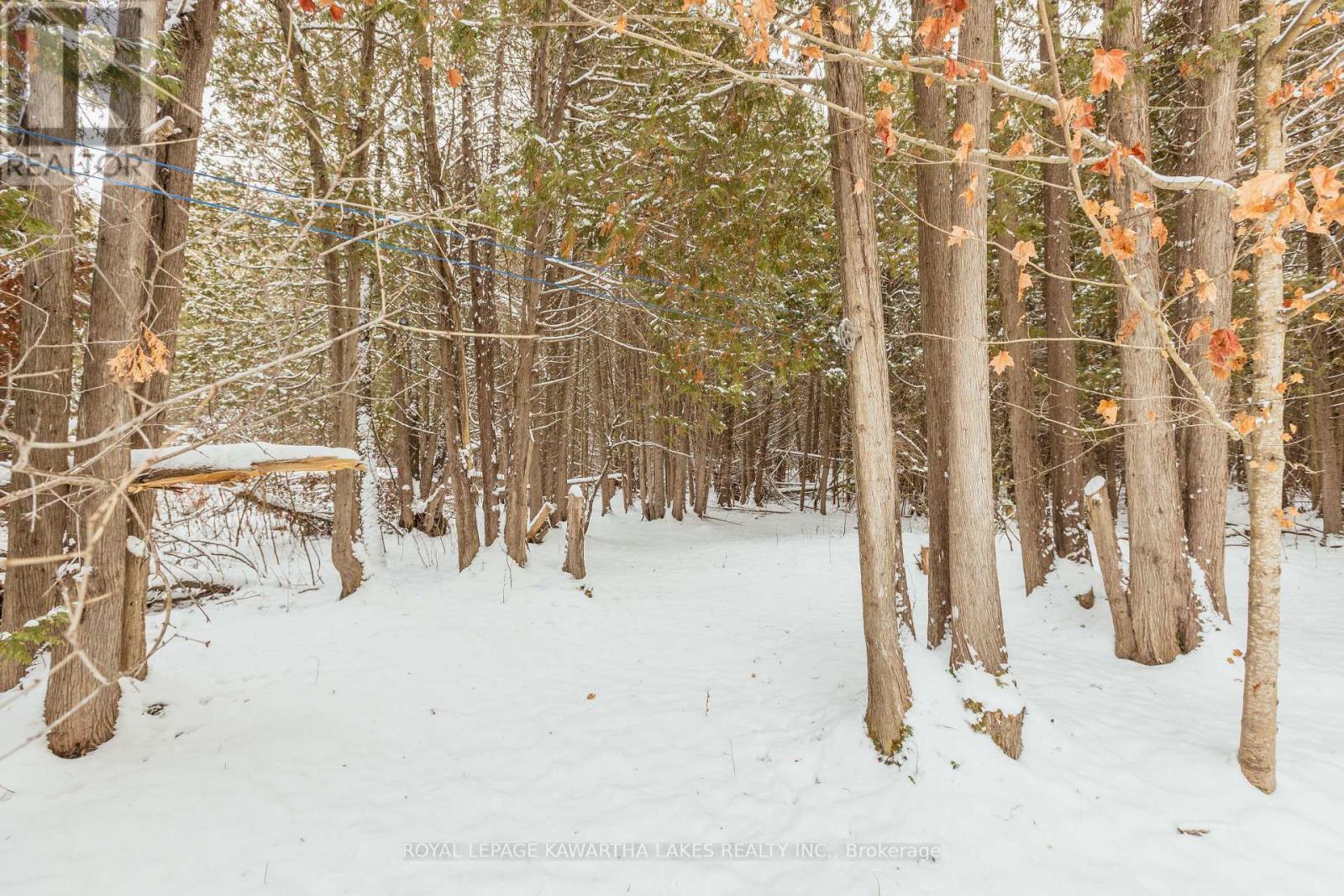 38 Fell Station Drive, Kawartha Lakes (Fenelon Falls), ON - Outdoor