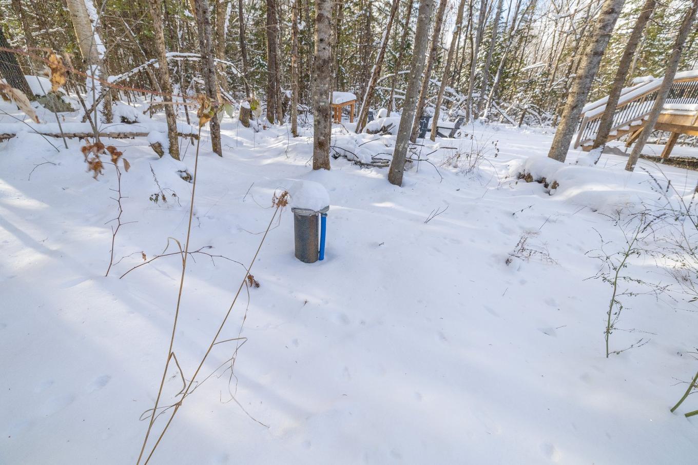 Aerial photo - 215 Ch. Des Chênes, Amherst, QC - Outdoor With View