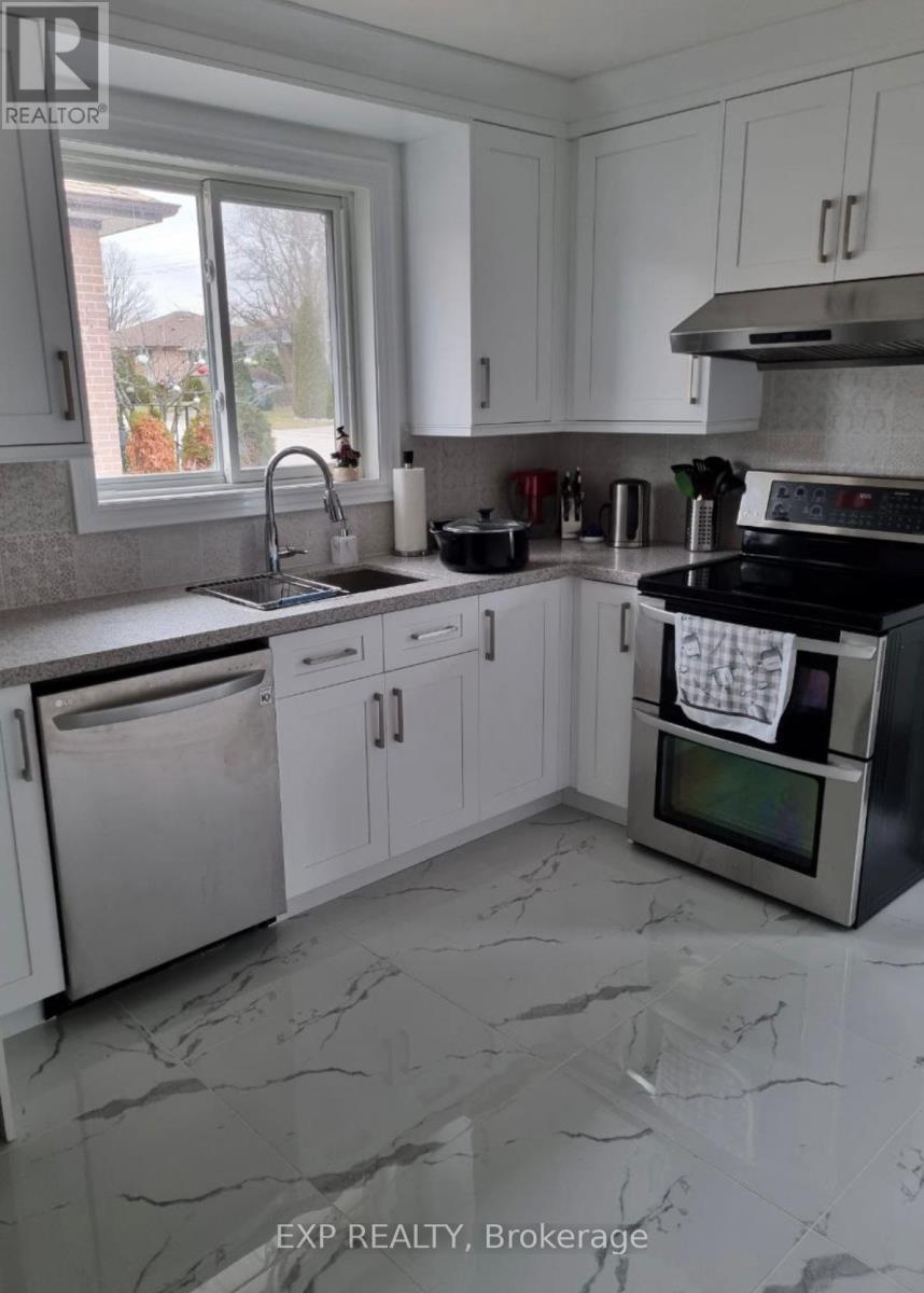 Main Floor - 256 Silverbirch Drive, Newmarket, ON - Indoor Photo Showing Kitchen