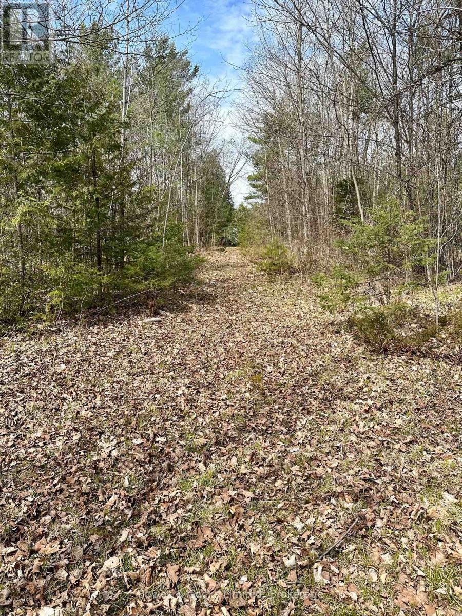 2981 County Road 44, Havelock-Belmont-Methuen (Belmont-Methuen), ON