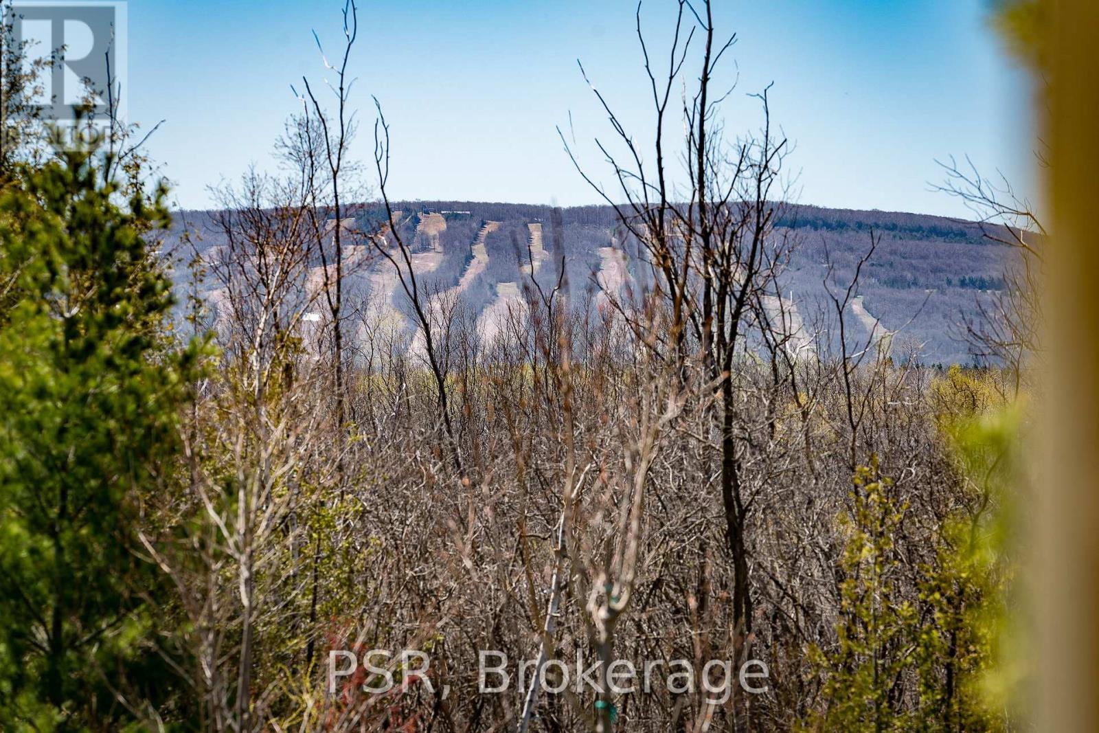 204 - 8 Brandy Lane Drive, Collingwood, ON - Outdoor With View