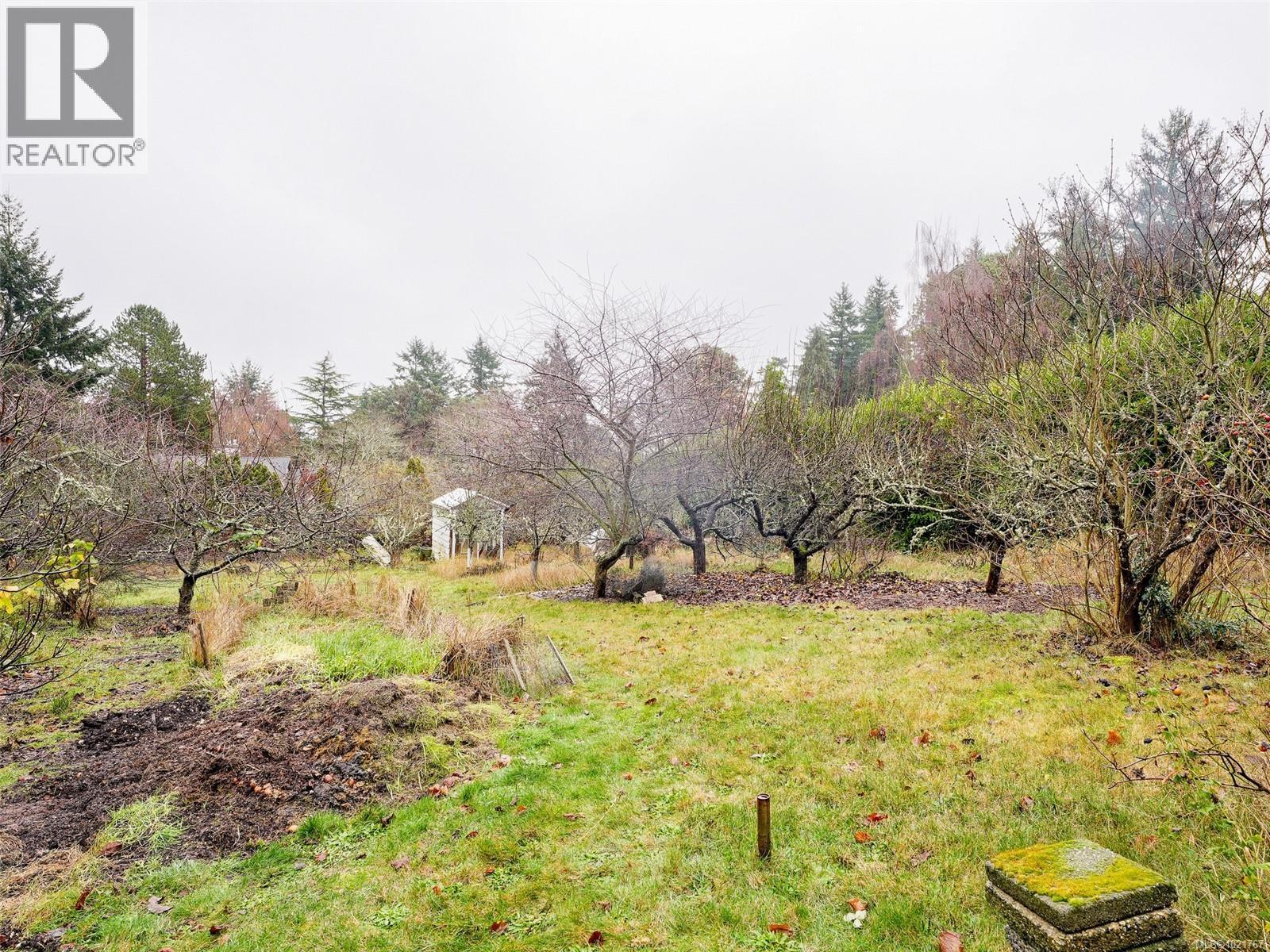 2202 Arbutus Rd, Saanich, BC - Outdoor