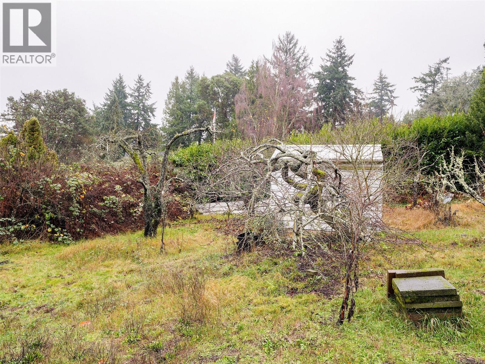 2202 Arbutus Rd, Saanich, BC - Outdoor