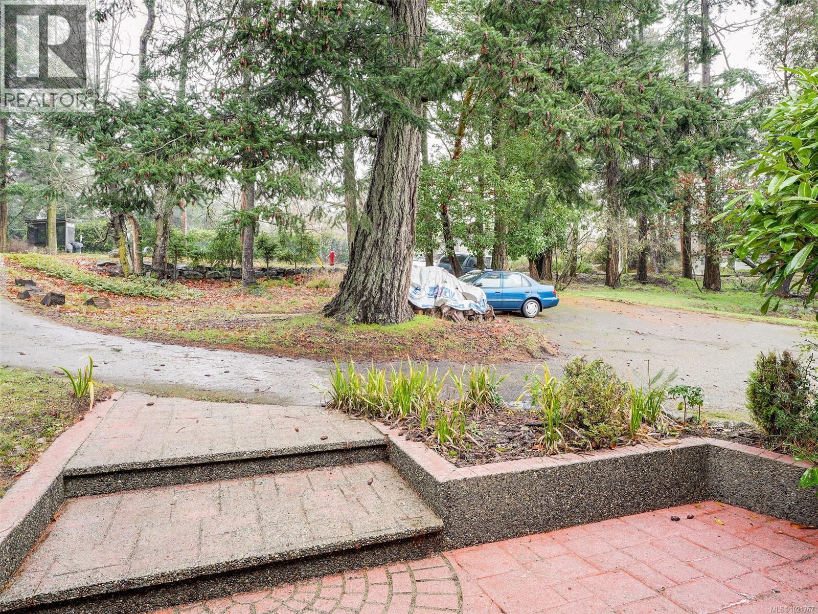 2202 Arbutus Rd, Saanich, BC - Outdoor