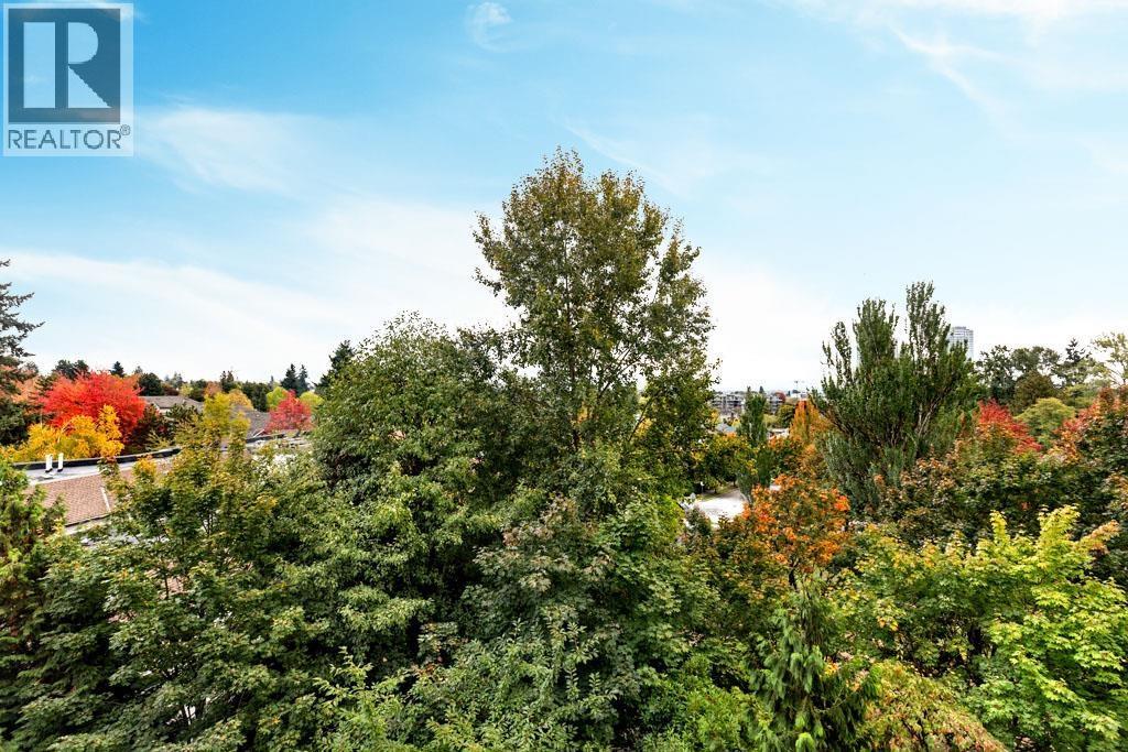 605 7108 Edmonds Street, Burnaby, BC - Outdoor With View