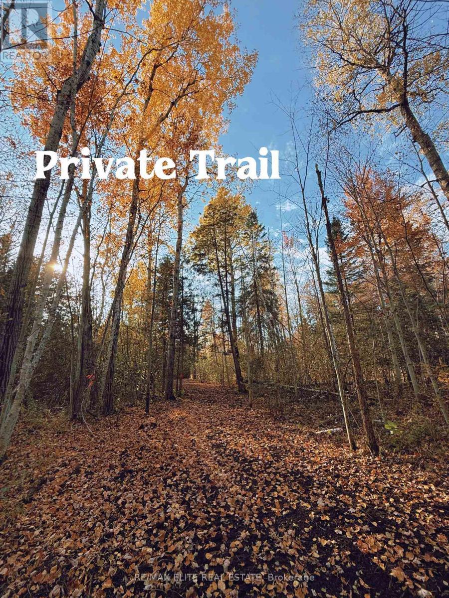 4909 Holborn Road, East Gwillimbury, ON - Outdoor With View