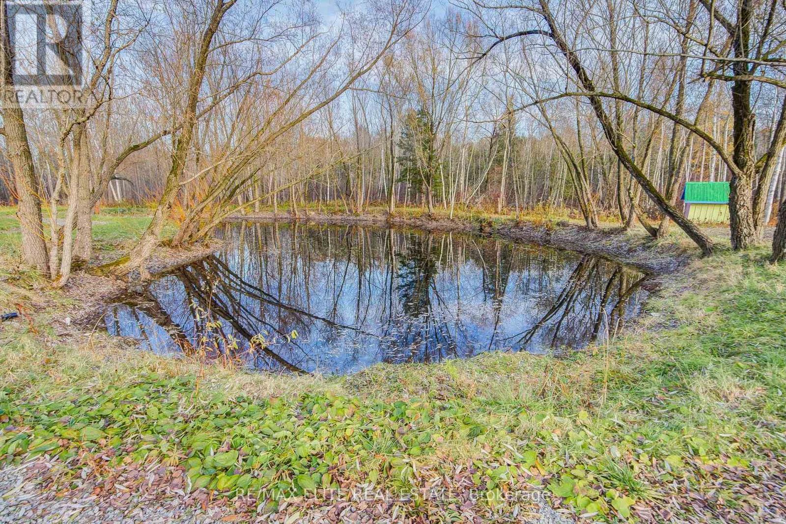 4909 Holborn Road, East Gwillimbury, ON - Outdoor