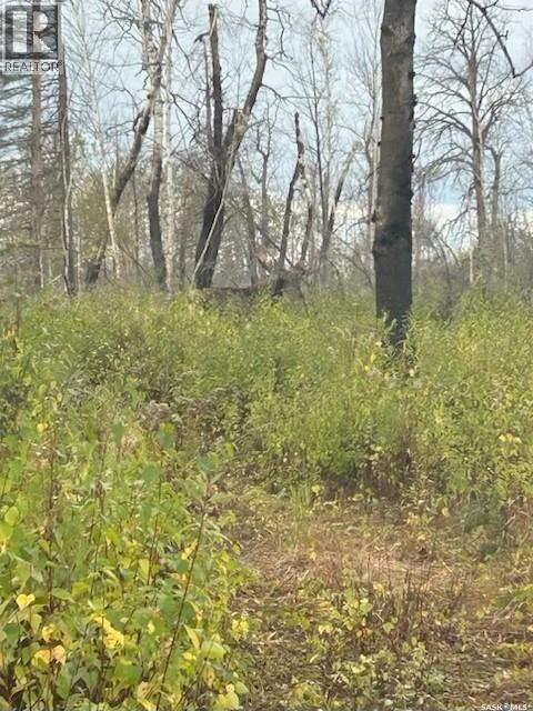 Reaume Hunting Shack, Hudson Bay Rm No. 394, SK