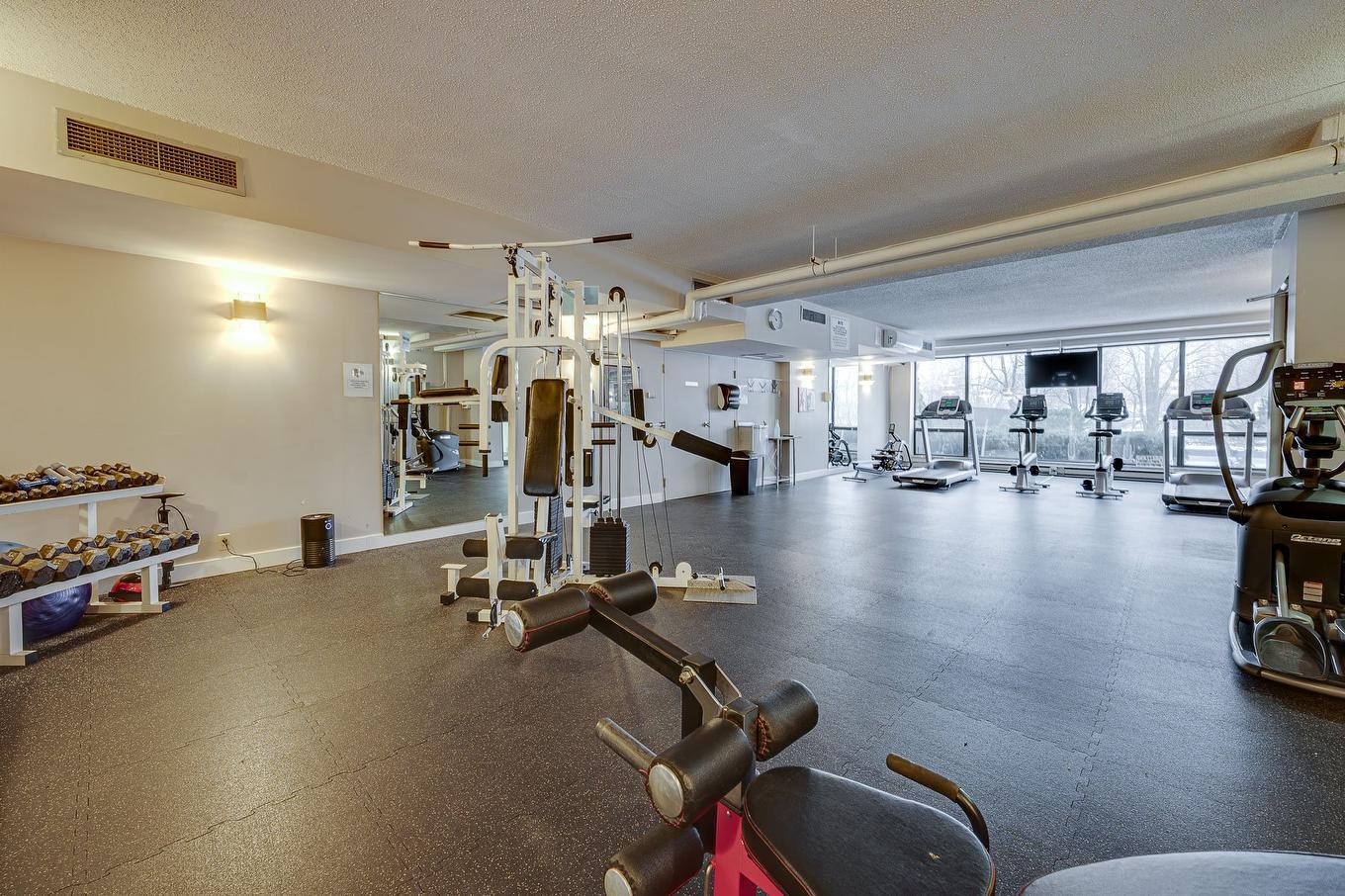Salle d'exercice - 1005-4300 Place Des Cageux, Laval (Chomedey), QC - Indoor Photo Showing Gym Room