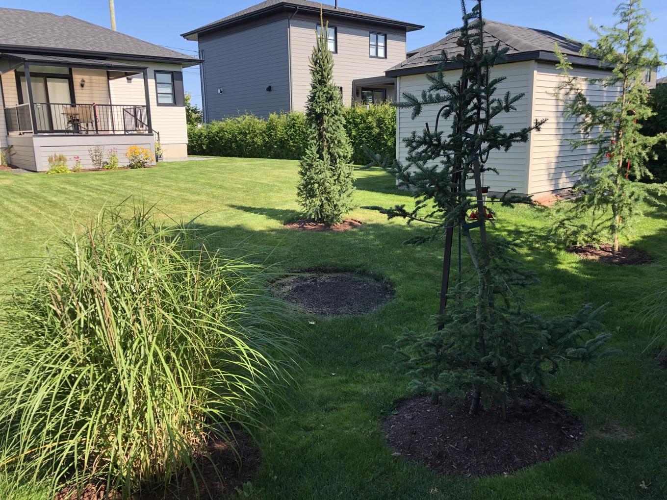 Land/Lot - 16664 18E Avenue, Saint-Georges, QC - Outdoor