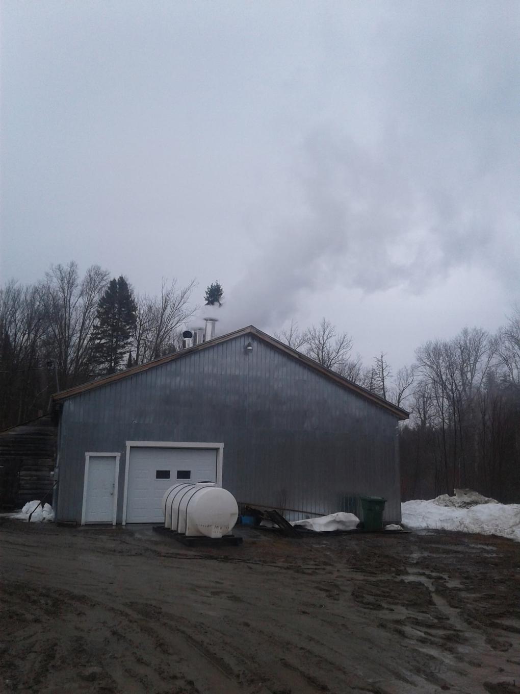 Maple grove - Km 12 Ch. Maniwaki, Territoires Autres/Other Territories, QC - Outdoor