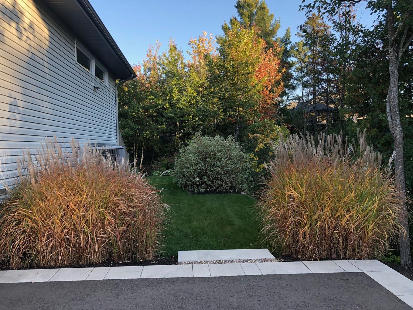 Cour - 17340 Rue Du Titane, Mirabel, QC - Outdoor