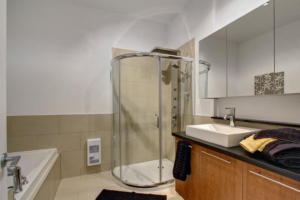 Bathroom - 309-598 8E Avenue, Québec (La Cité-Limoilou), QC - Indoor Photo Showing Bathroom