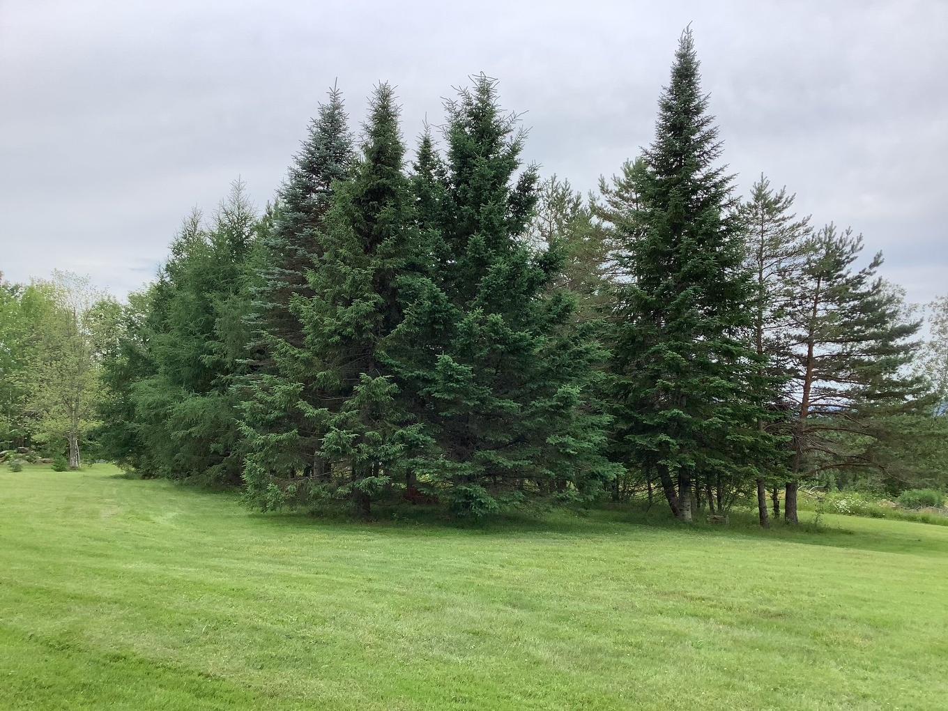 Exterior - 2436 13E Rang, Orford, QC - Outdoor