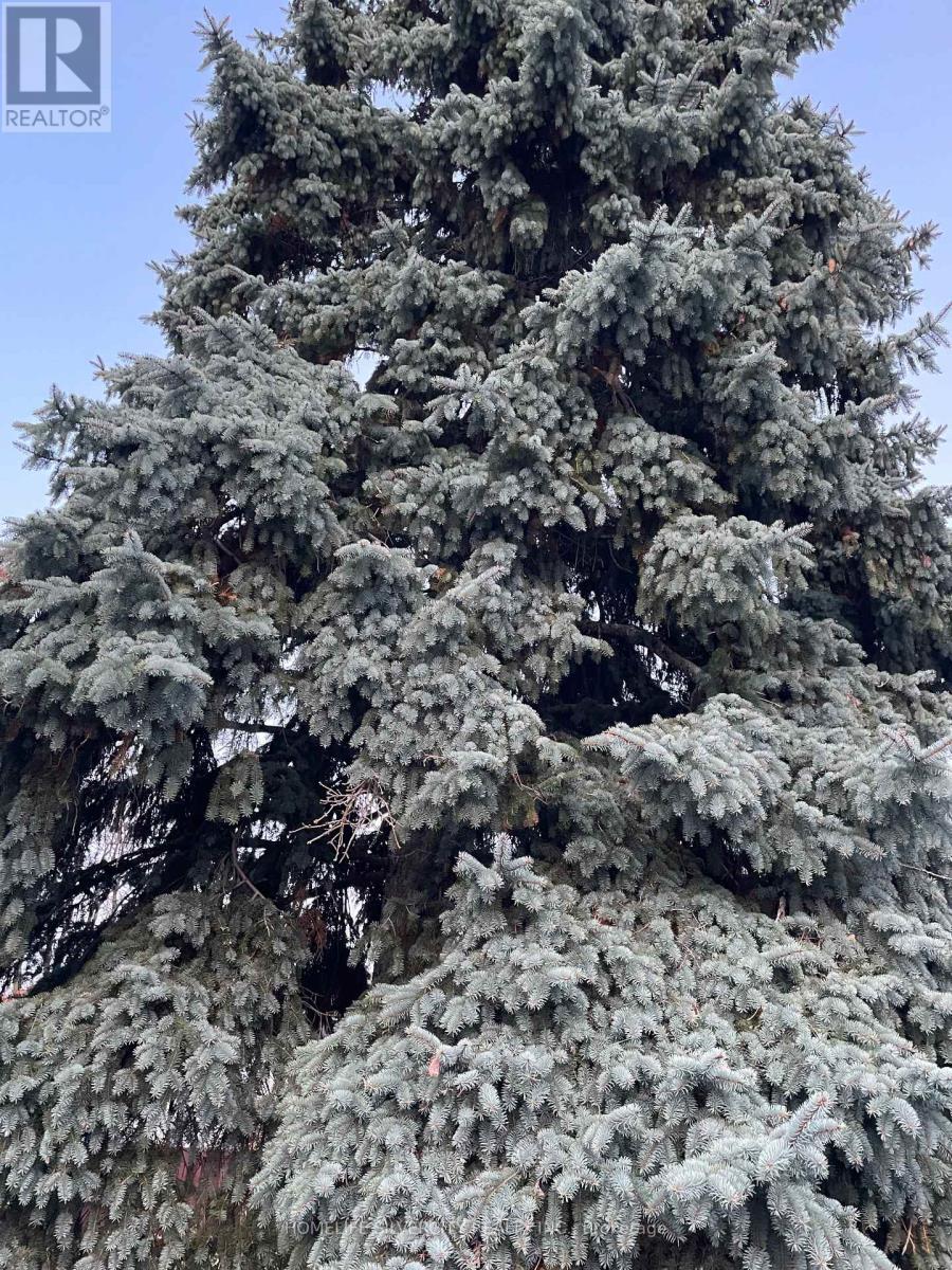 7 Mandrain Crescent, Brampton, ON - Outdoor