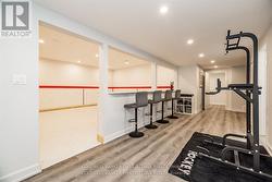 Lower level rink can be converted back to rec room -
