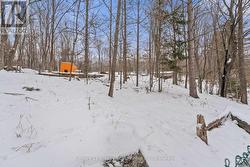 Spacious Back Yard -