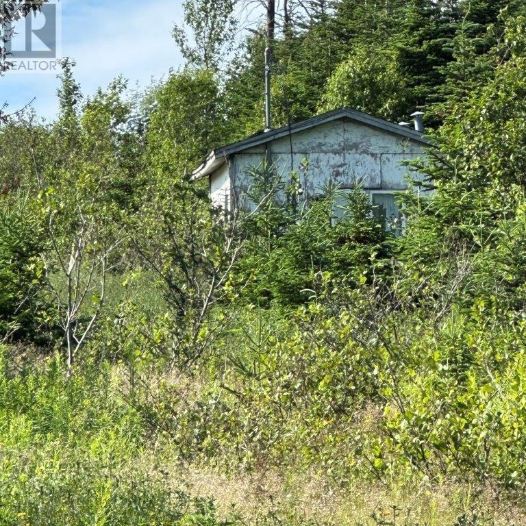 638 Indian Meal Line, Portugal Cove-St. Philips, NL