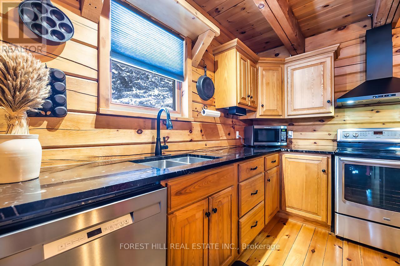 110 Westview Drive, Kawartha Lakes (Emily), ON - Indoor Photo Showing Kitchen With Double Sink