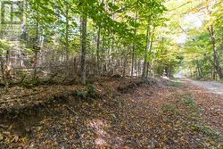 0 LYNX LAKE ROAD Huntsville (Brunel), ON P1H 2J3