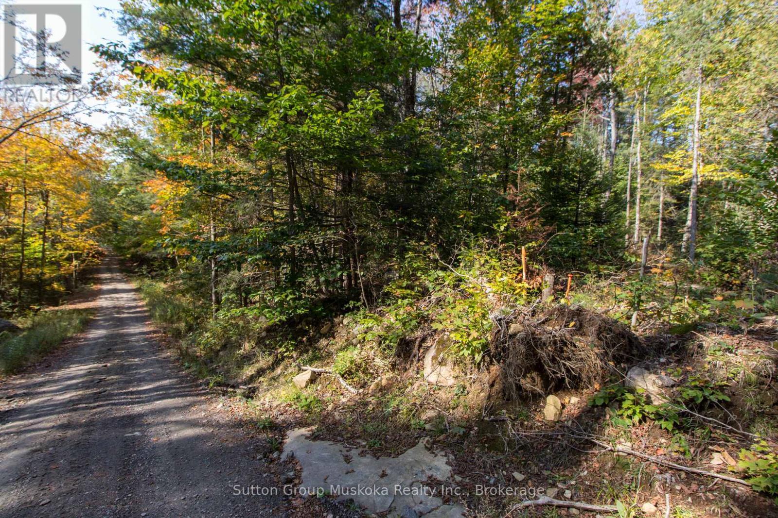 38 Acres of Mixed Wooded Forest. - 0 Lynx Lake Road, Huntsville (Brunel), ON