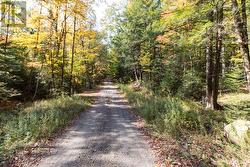 Well maintained seasonal Road -