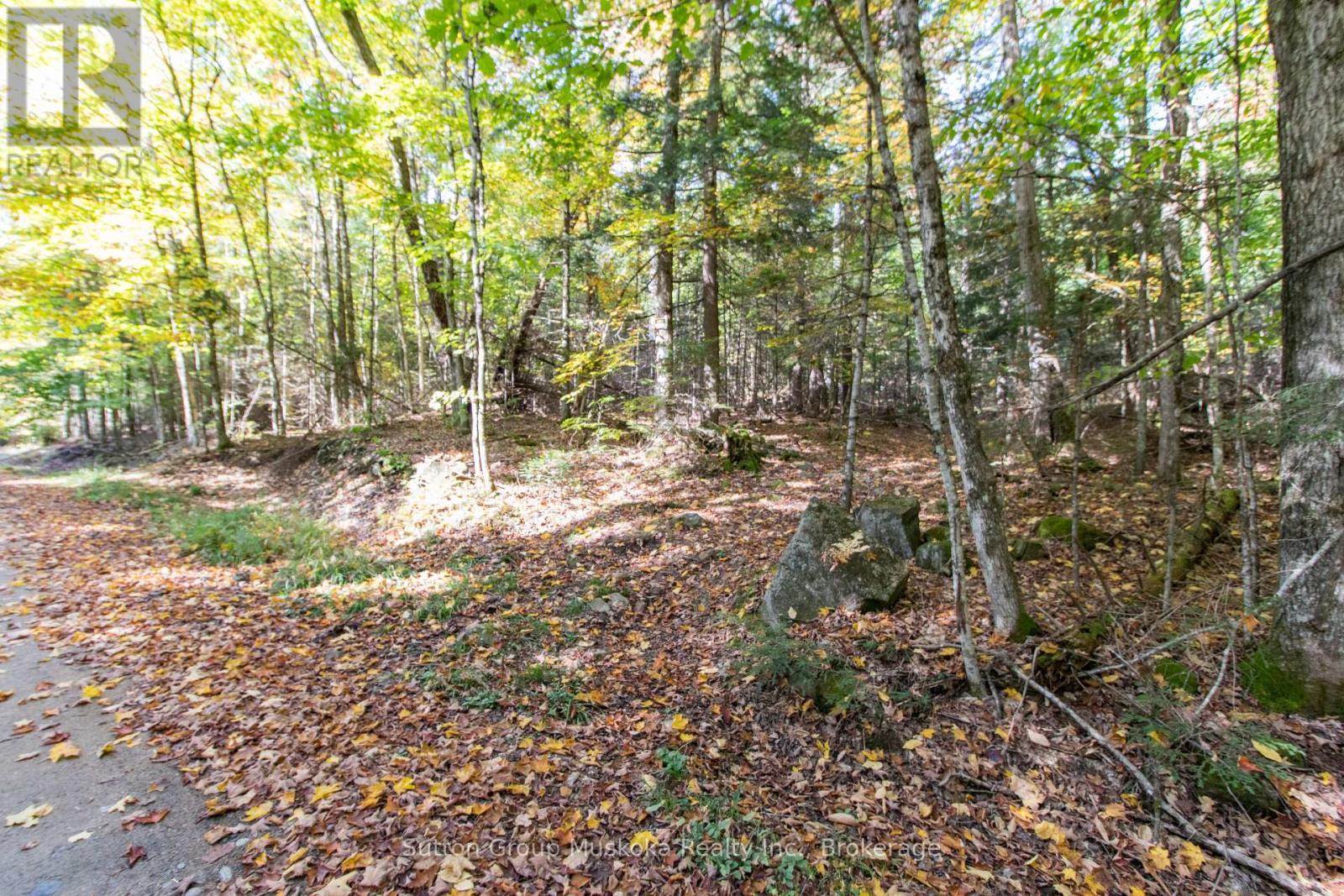 Enjoy Ultimate Privacy - 0 Lynx Lake Road, Huntsville (Brunel), ON