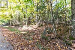 Enjoy Ultimate Privacy -