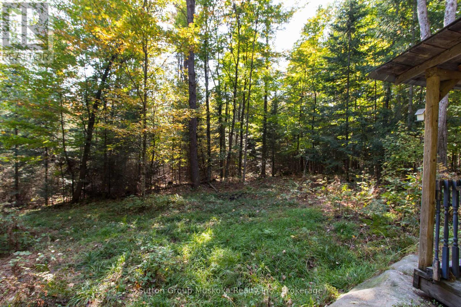 Flat building area. - 0 Lynx Lake Road, Huntsville (Brunel), ON